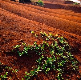 《糖豆人》第6赛季月末启动 将加入对马岛皮肤